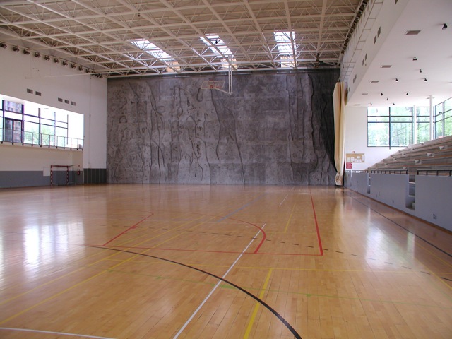 Loading Image