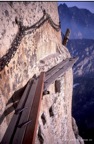 pic00778