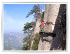 pic08723